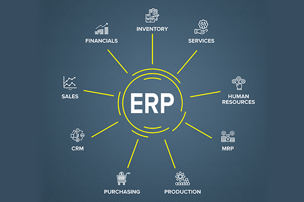 Viable Power Strengths – ERP Viable Power Strengths - Proprietary ERP System